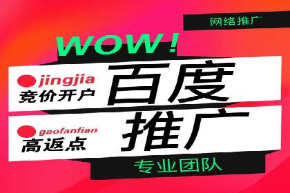 解析百度竞价推广公司经典案例：精准营销的秘诀